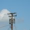 Delmarva Power 12.47kv - Talbot County, MD