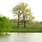 North Carolina wine country