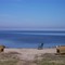Herrington Harbor Parkbench