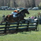 Steeplechase