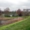 Pond near Columbia Gym