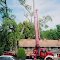 Clarksville Tree Removal