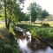 Creek at Fish Hatchery Rd and Bethel Rd