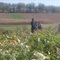 Jumbo's Pumpkin Patch in Middletown Valley MD