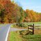 Fall Colors Heading out