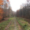 Blockhouse Point - Canyon Trail