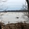 Potomac in April