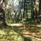 Schaeffer Farms Bike Trail Fall 2011 - 2