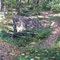 Schaeffer Farms Bike Trail Fall 2011 - 3