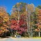 Sachem Village - Fall