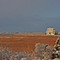 Avalon Manor in the Snow