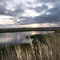 Avalon causeway sunset