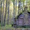 Wood house in the woods
