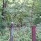 Posts