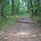 Urban park trail