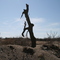 Desolation