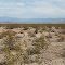 County Road 20918