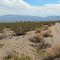 County Road 20918