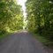 Stewart State Forest