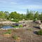 In the Arboretum