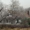 Ice Storm at Rocky Gap State Park