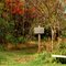 Wildlife Preserve Trail