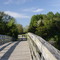Bridge over Creek