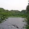 Makamah Park Preserve