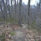 Nissequogue River State Park