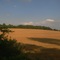 Landscape from Train Window