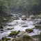 Savage River