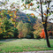 Savage River State Forest, Grantsville, MD