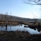 Beaver Pond, near Keyser, WV GreenMountainRoad