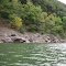 rocky shore of the savage river reservoir (crabtree creek side)