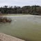 Cowlitz River Barrier Dam