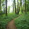 Powell Butte Bike trail