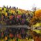 Aroostook river in fall