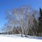 Peaceful winter day at AVCC