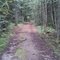 Heading up the trail towards Rattlesnake mountain.