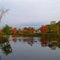 Milo Millpond