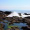 Acadia National Park - rocks and surf