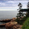 Acadia Coastal Pines