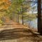 Railroad Bed, Buckfield Maine