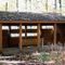 Bird Blind