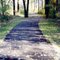 Kohler Park Black top Walking Trail