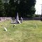 Whitcomb Family Cemetery overview