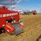 Potato Harvest in Aroostook County