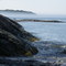 Misty Coastline