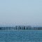 Little River Salmon Farm (panorama) [see comment]