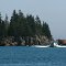 Coming Home to Cutler Harbor